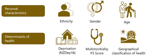Infographic showing factors affecting health: ethnicity, gender, age, deprivation (NZDep18), multimorbidity (P3 score), and geographical classification of health, with icons representing each category.