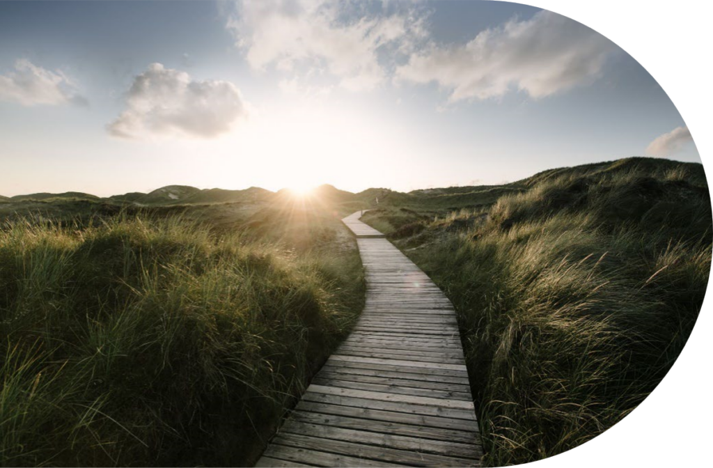 A wooden walkway weaves through tall grass dunes in New Zealand beneath a partly cloudy sky, sun low on the horizon.